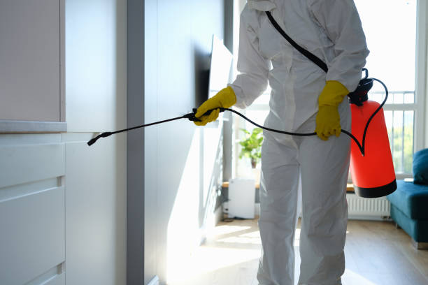 Best Black Mold Removal  in San Carlos Park, FL