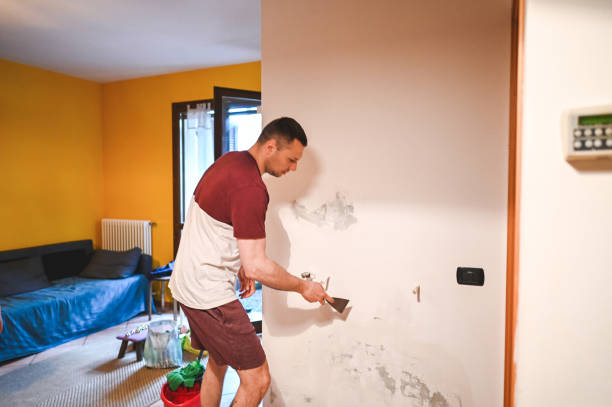 Best Affordable Mold Removal  in San Carlos Park, FL